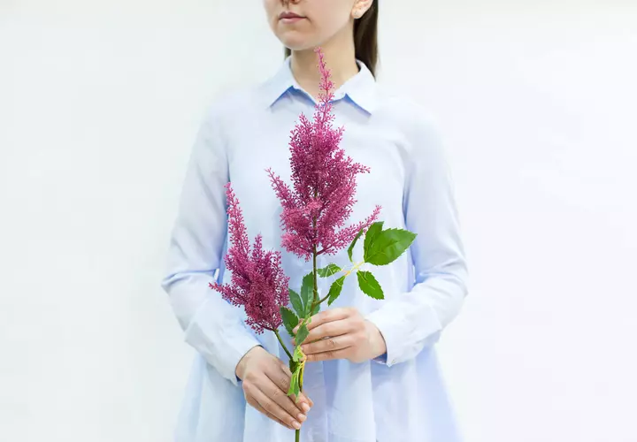 Artificial Astilbe branch - burgundy