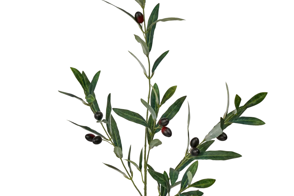 Olive branch with fruits high 112cm - green Olive branch with fruits high 112cm - green