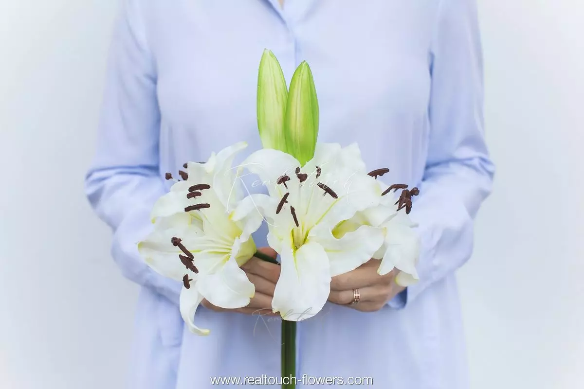 Lily Bouquet 4+2 - white