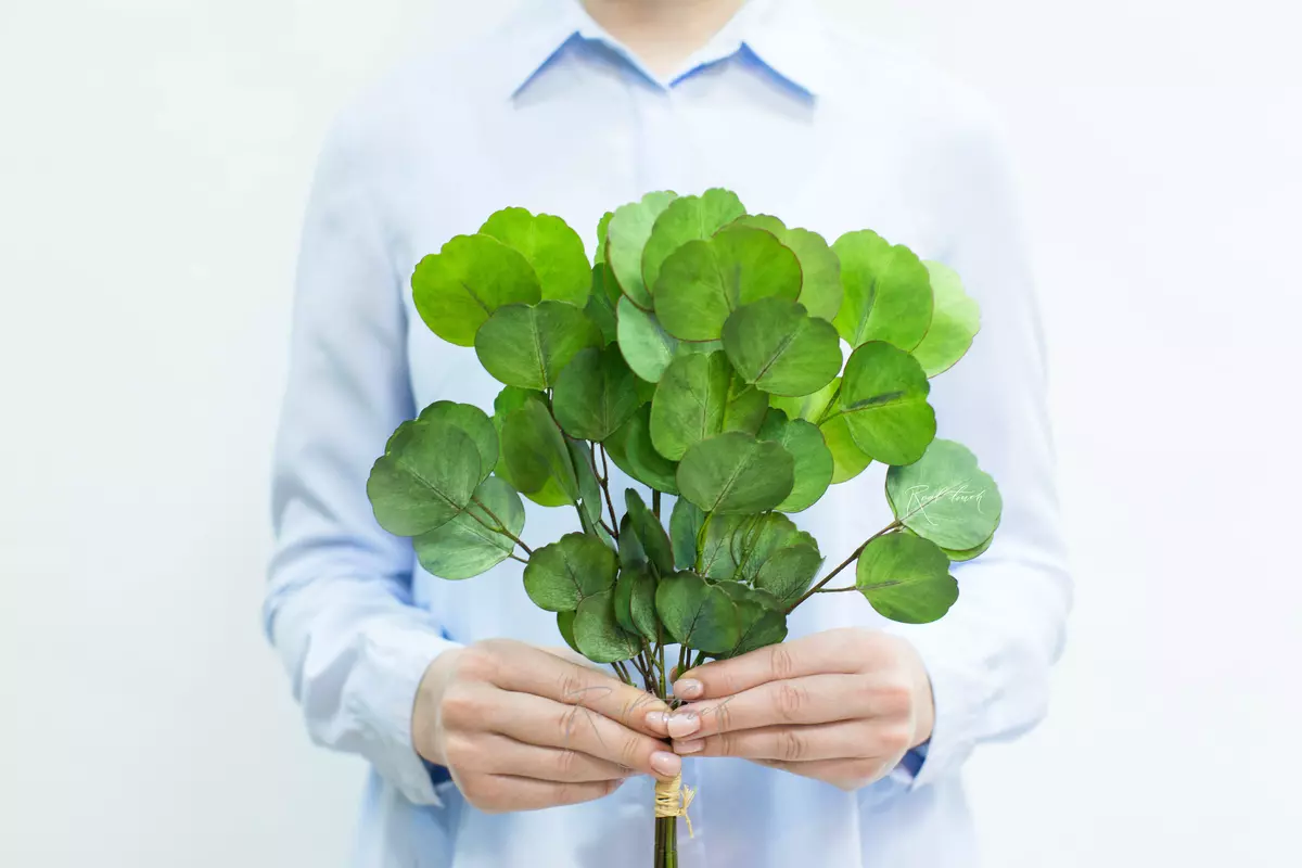 Real Touch Eucalyptus Silver Dollar (8 branches) - light green