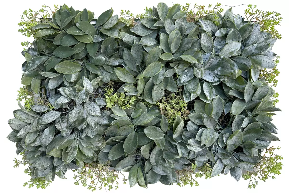 Wide Leaf Panel 40*60cm - dusty green Wide Leaf Panel 40*60cm - dusty green