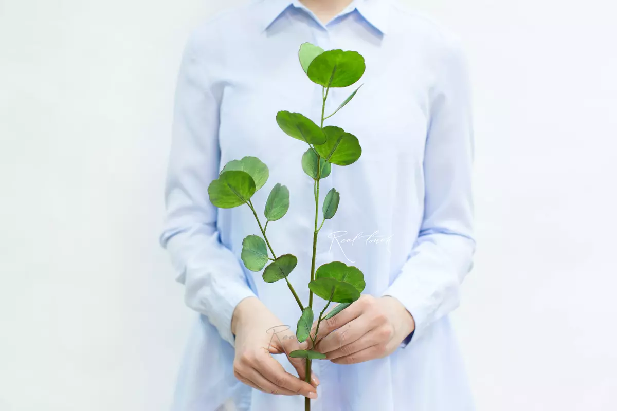 Real Touch Eucalyptus Silver Dollar small branch - light green