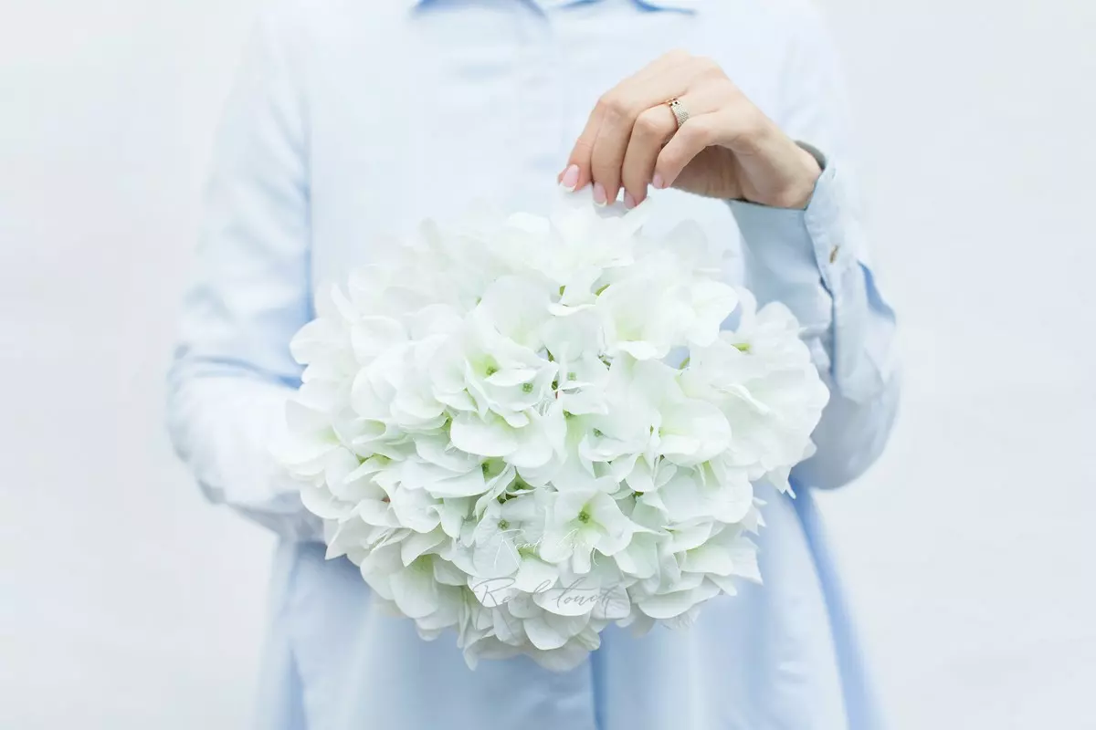 Real Touch Hydrangea arborescens (without stem) - white green