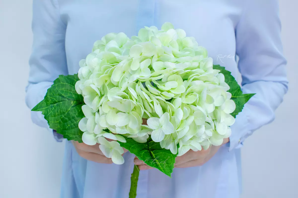 Real Touch Garden Hydrangea (with stem) - light green