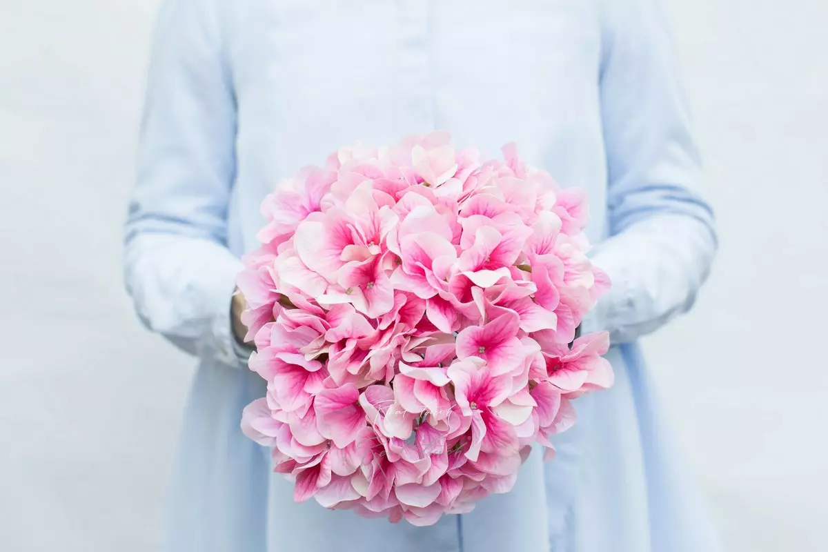 Real Touch Hydrangea arborescens (without stem) - white pink 