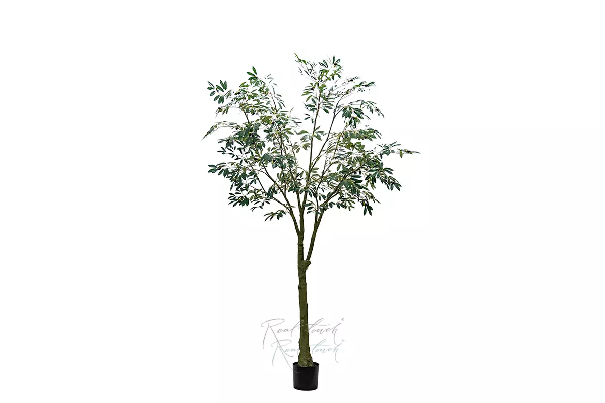 Real Touch Leccino Olive tree 240cm  - green