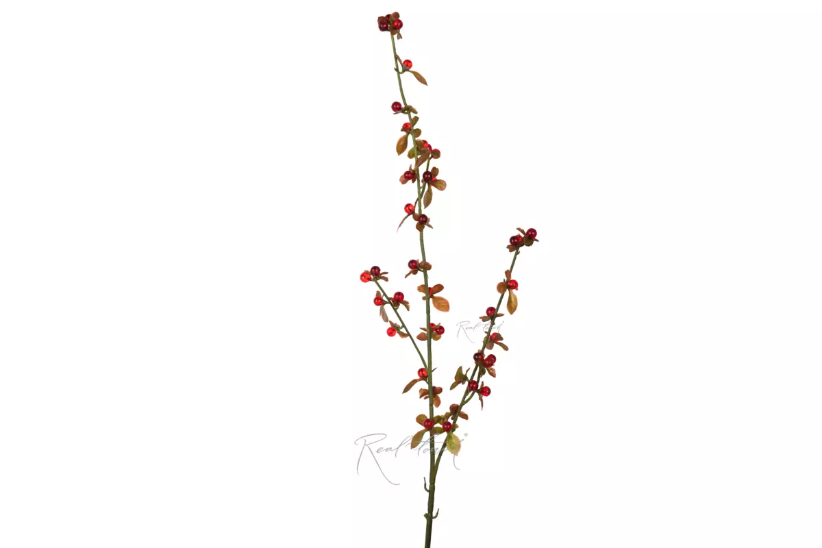 Berry branch 33" - bordeaux