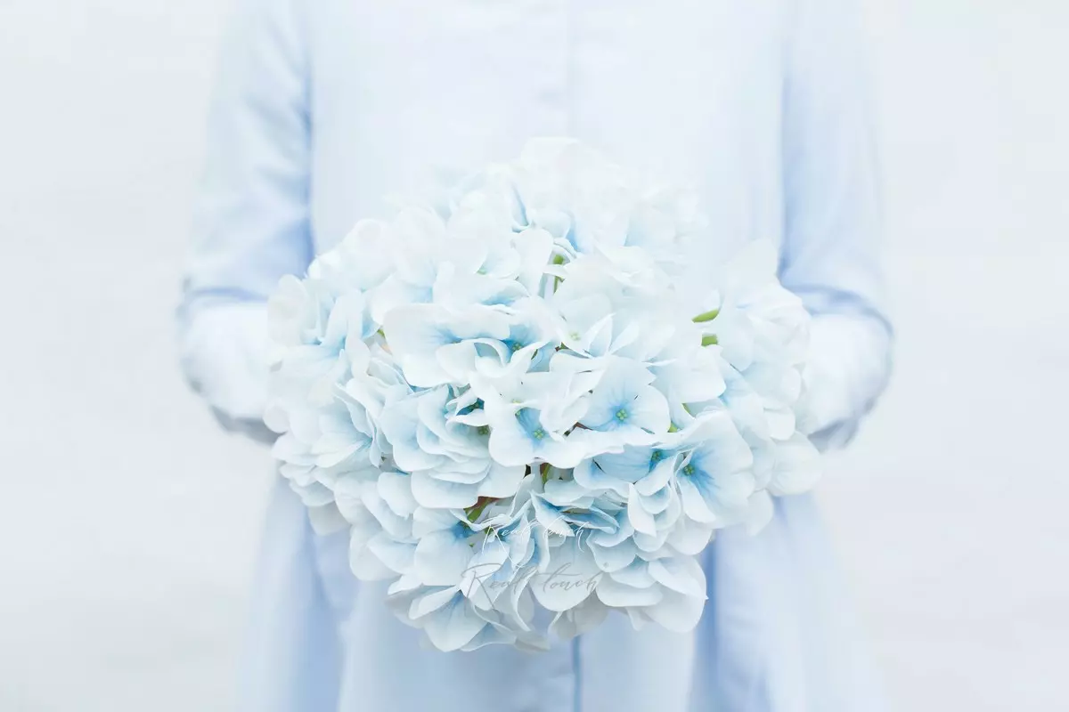 Real Touch Hydrangea arborescens (without stem) - white blue