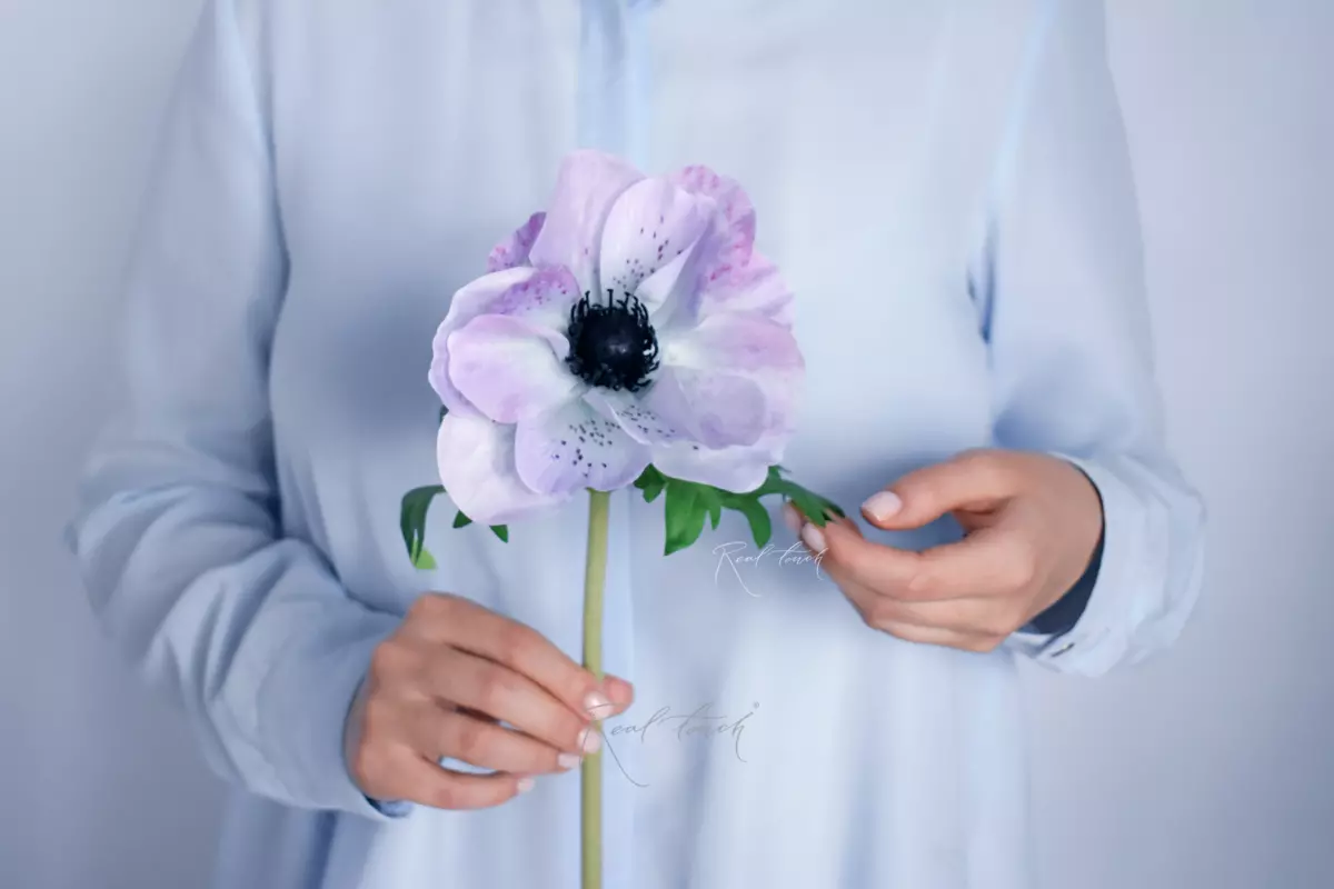 Anemone - light purple