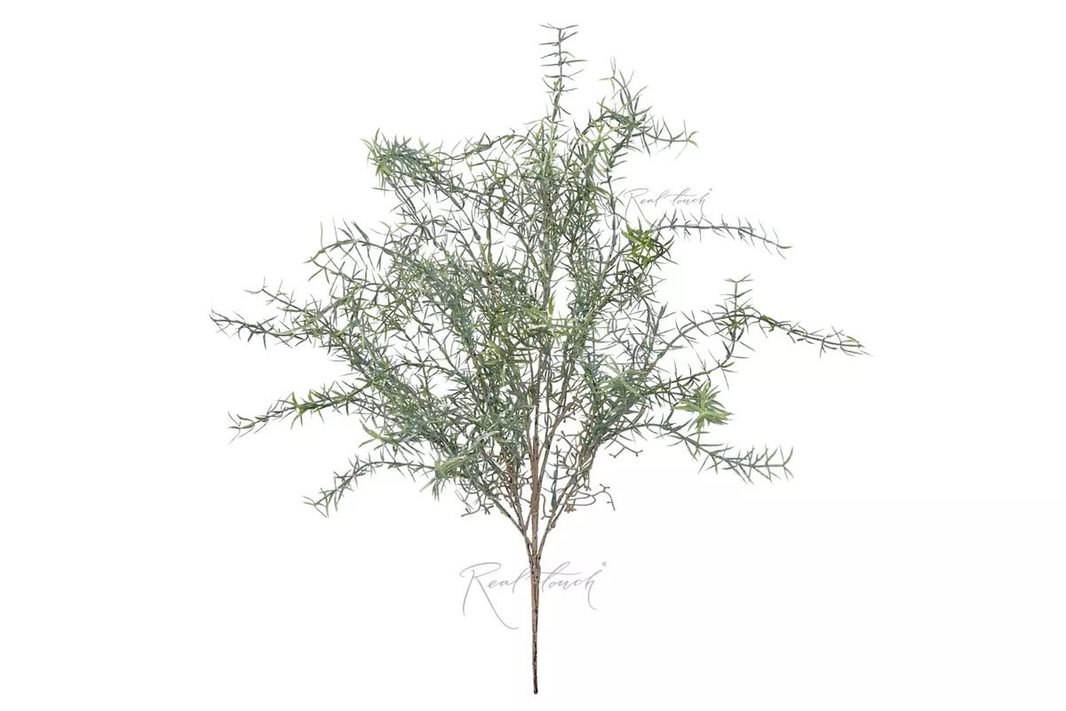 Winter grass branch - dusty green