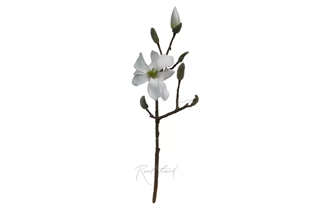 Magnolia Branch small - white