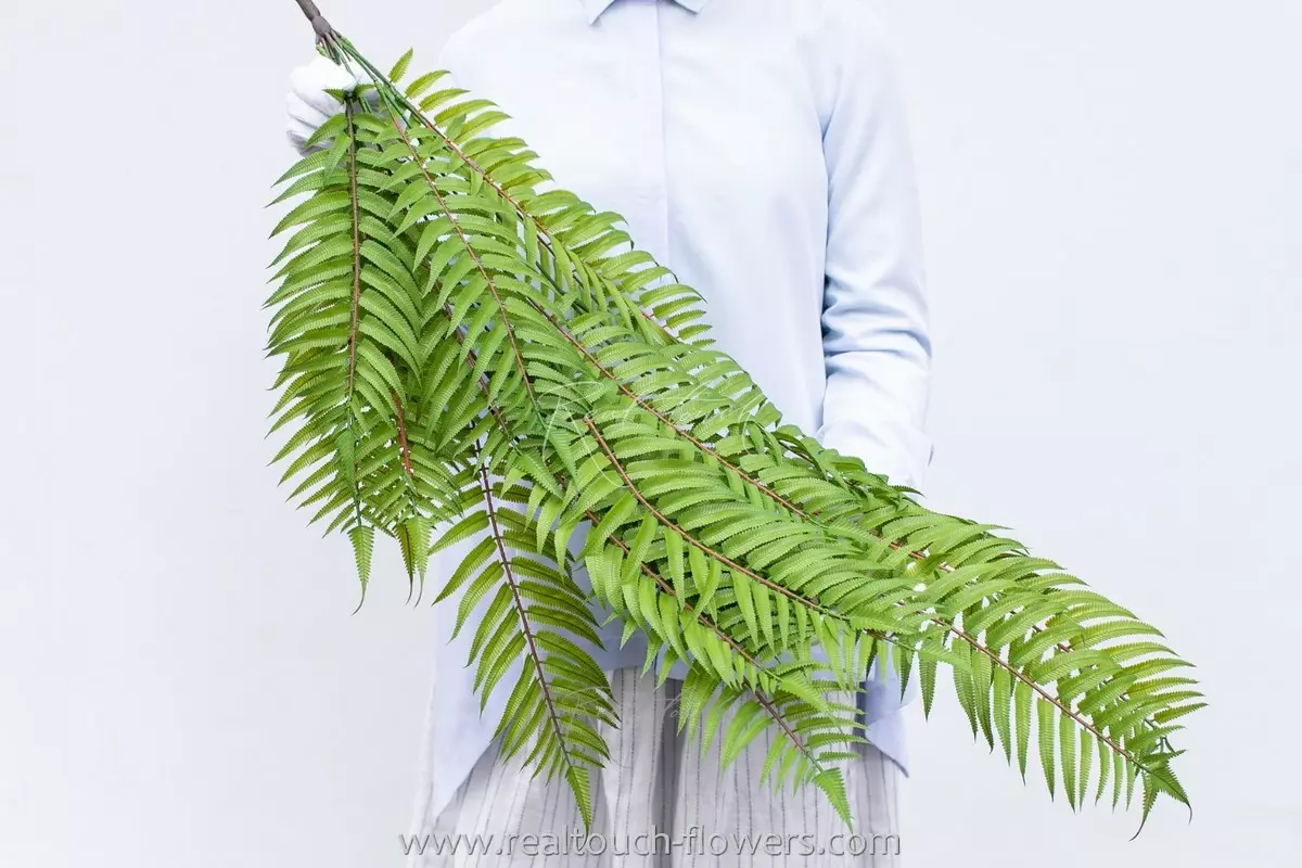 Real Touch Sorbaria sorbifolia fern-like shrub  - green