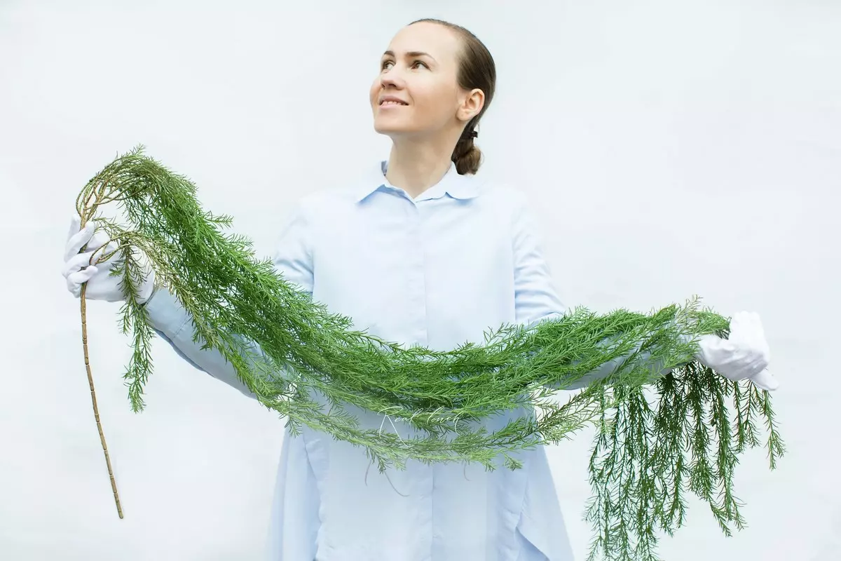 Real Touch Asparagus hanging plant 68.8 inches  - green