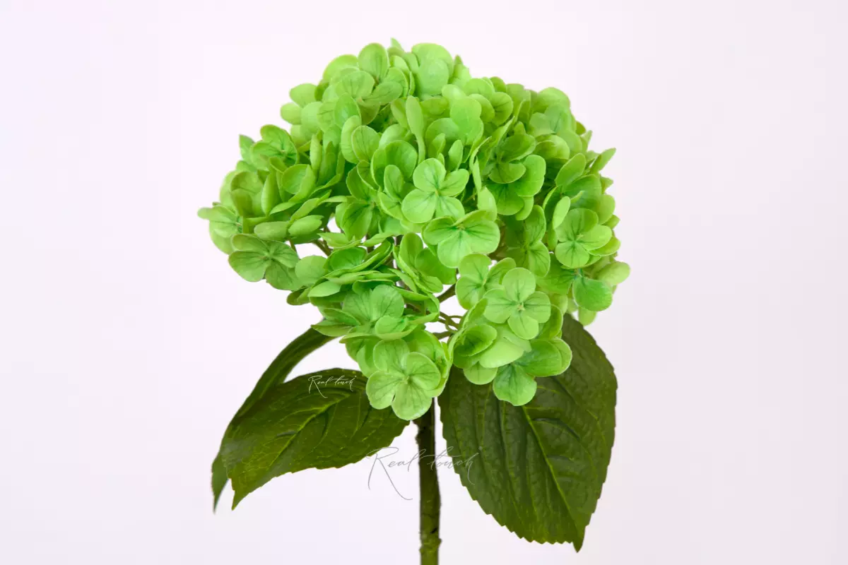Real Touch Garden Hydrangea (with stem) - green Real Touch Garden Hydrangea (with stem) - green