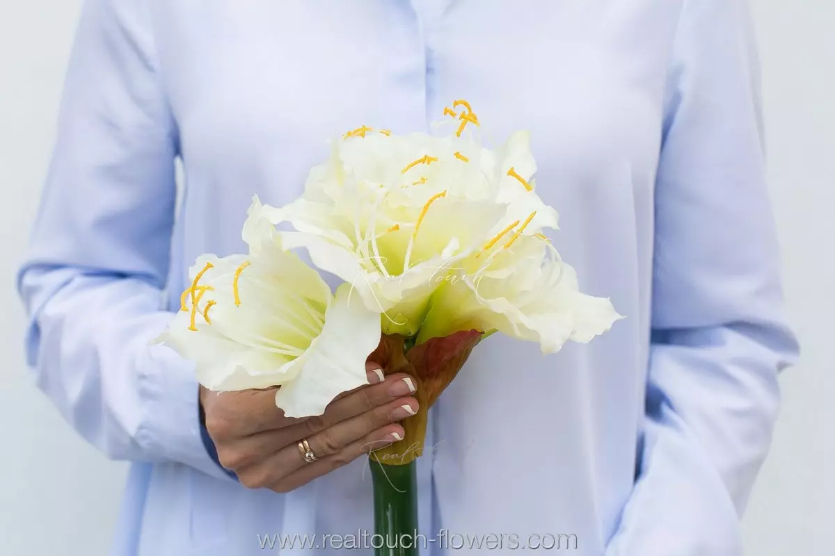 Large Amaryllis - white