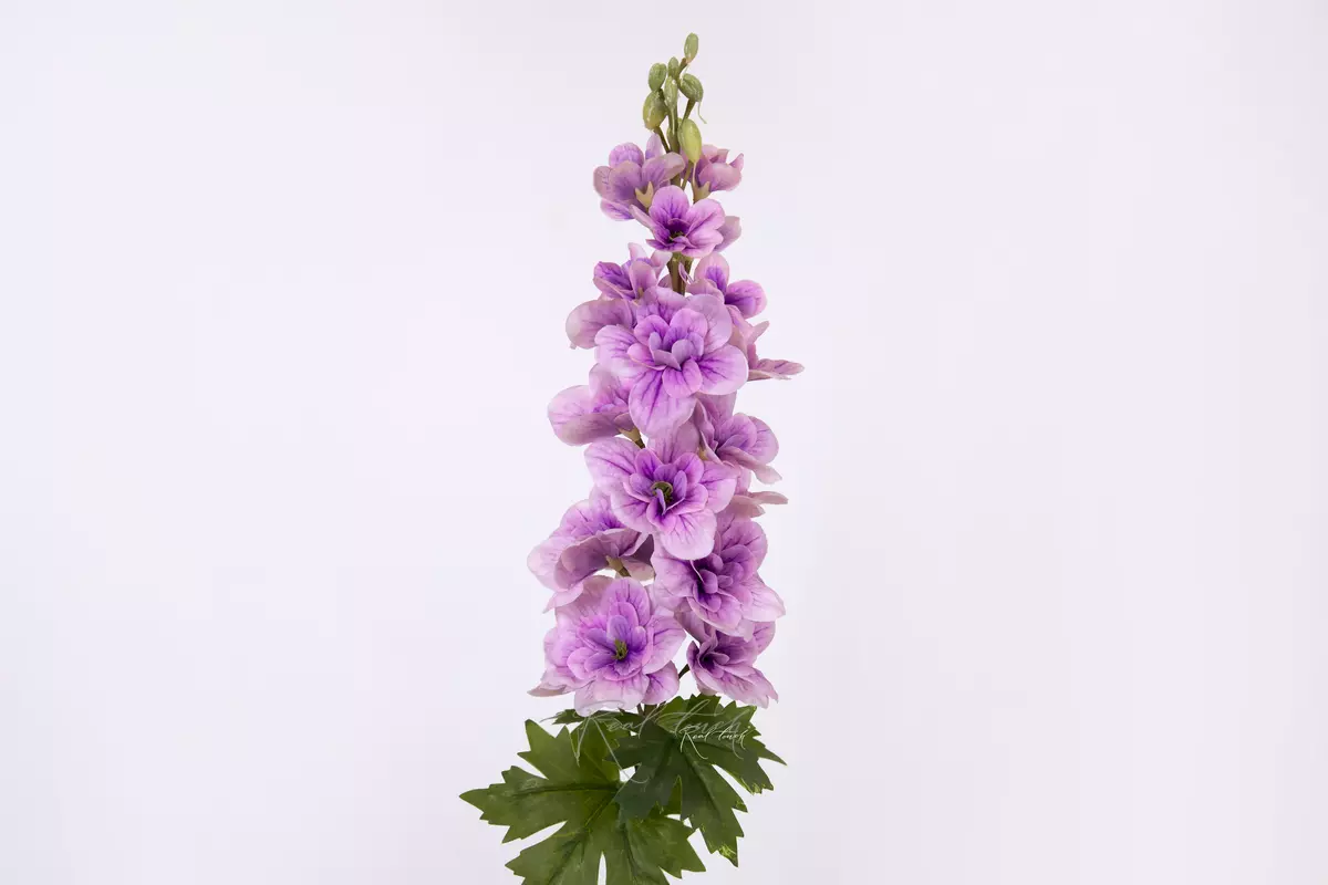 Delphinium small - purple
