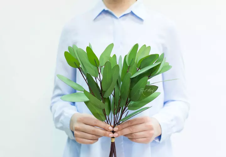 Real Touch Eucalyptus Populus (8 branches) - green