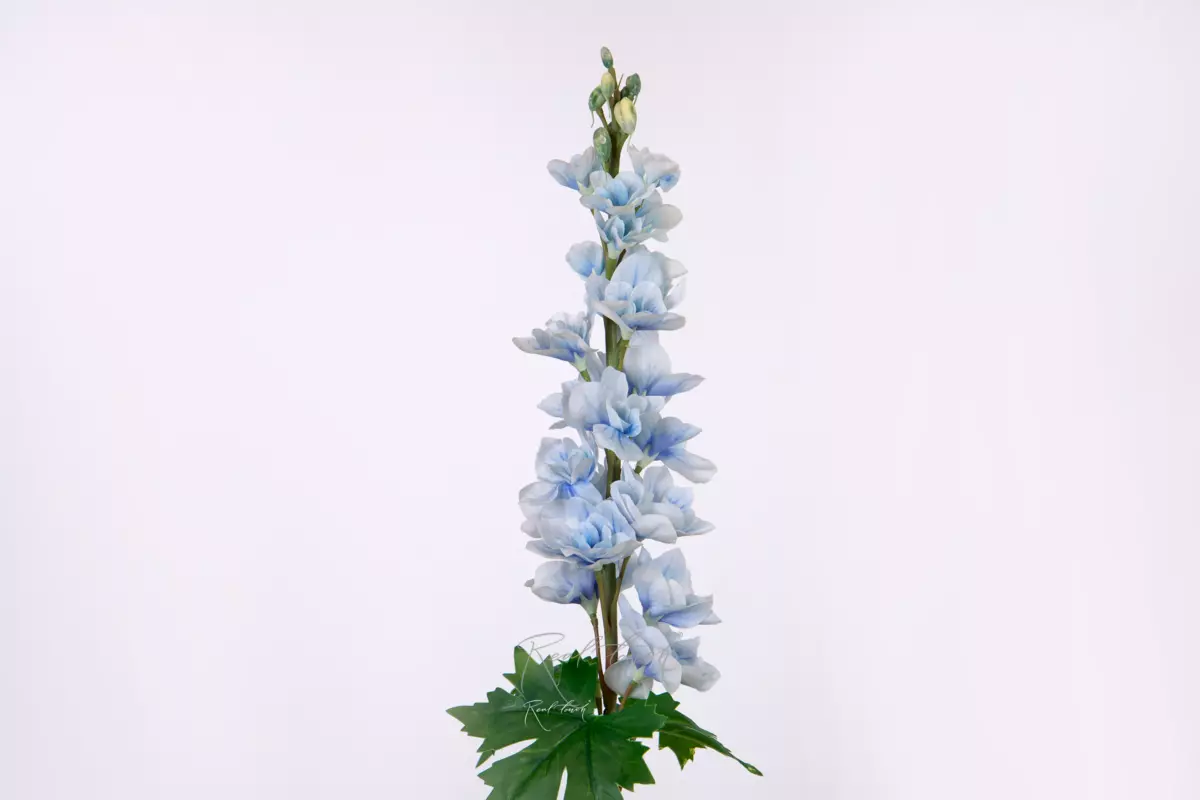 Delphinium small - light blue