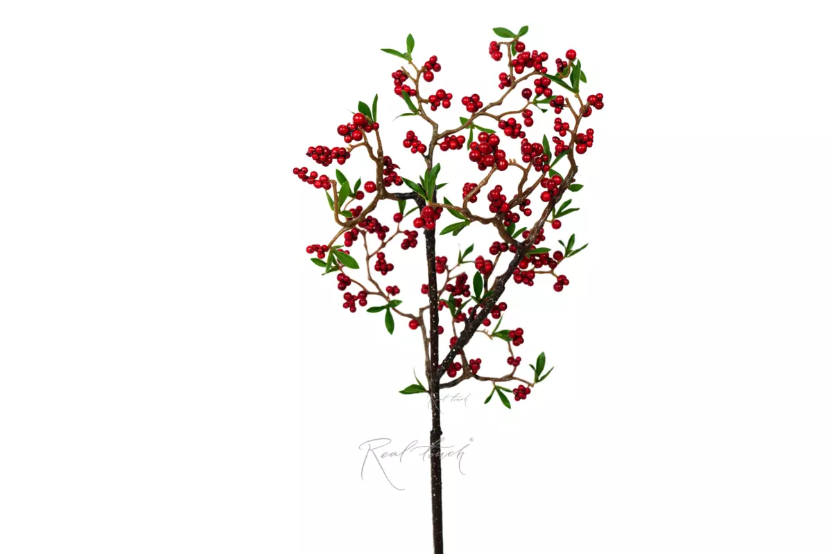 Berry Branch type 3 - red