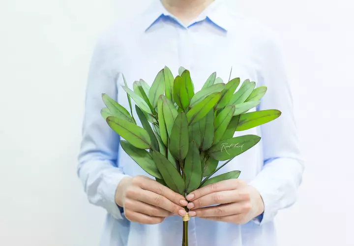 Real Touch Eucalyptus Populus (8 branches) - green burgundy