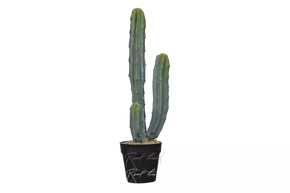 Cactus Cereus Mexican 64cm - green Cactus Cereus Mexican 64cm - green