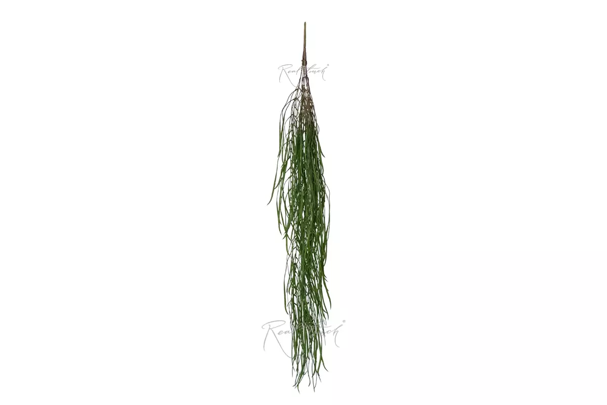 Branch HW-2062 - Dark green