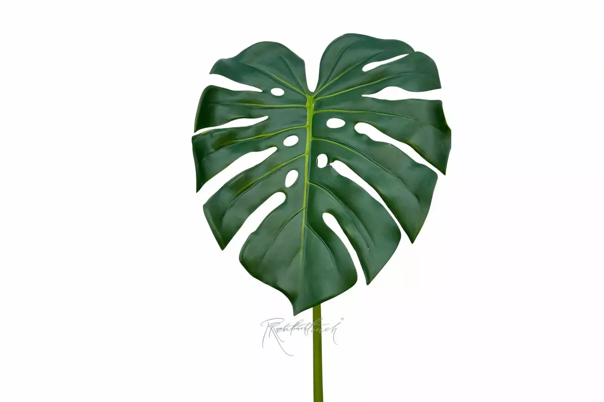 Monstera leaf 86cm - green Monstera leaf 86cm - green
