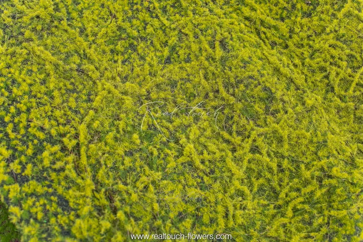 Moss with Synthetic Insulation 046, 1*1 m - green