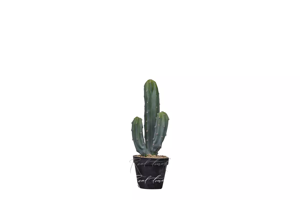 Cactus Cereus Mexican 39cm - green Cactus Cereus Mexican 39cm - green