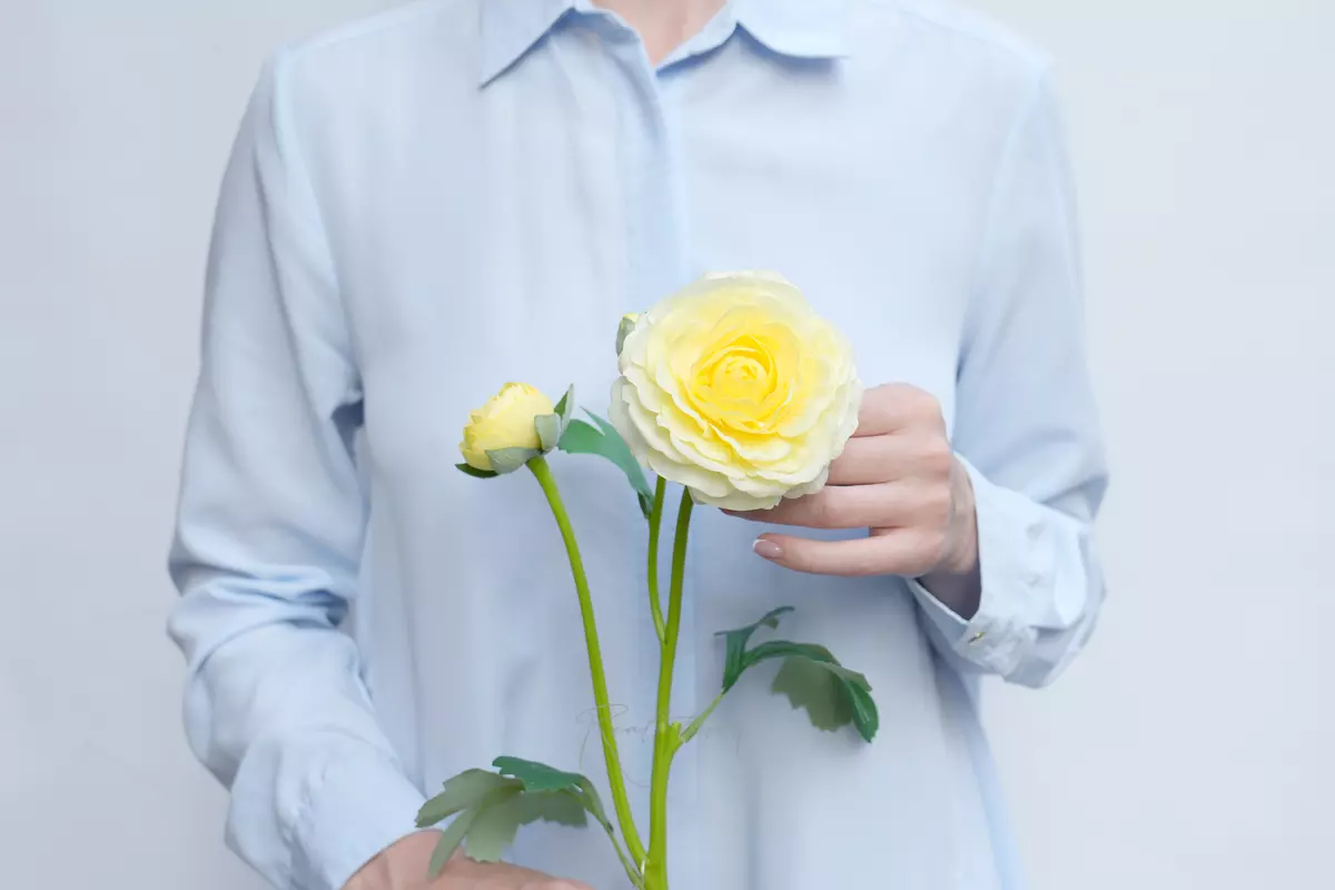 Ranunculus asiaticus Pauline - Light yellow