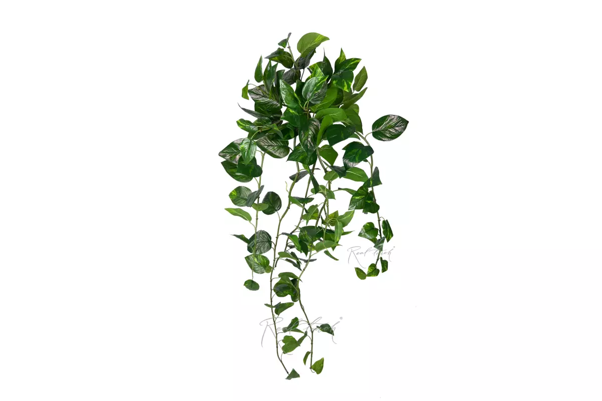 Pothos hanging bush 46" with UV protection - Dark green