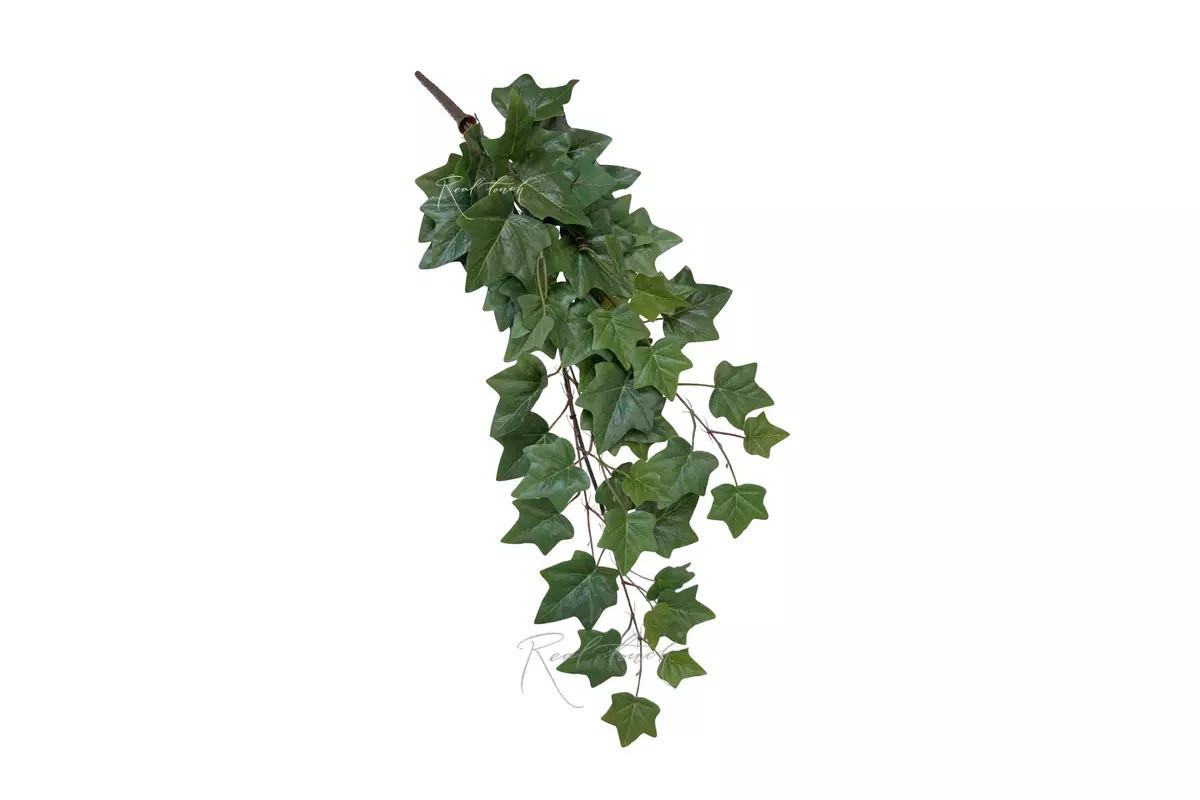 Ivy bush 30" - green