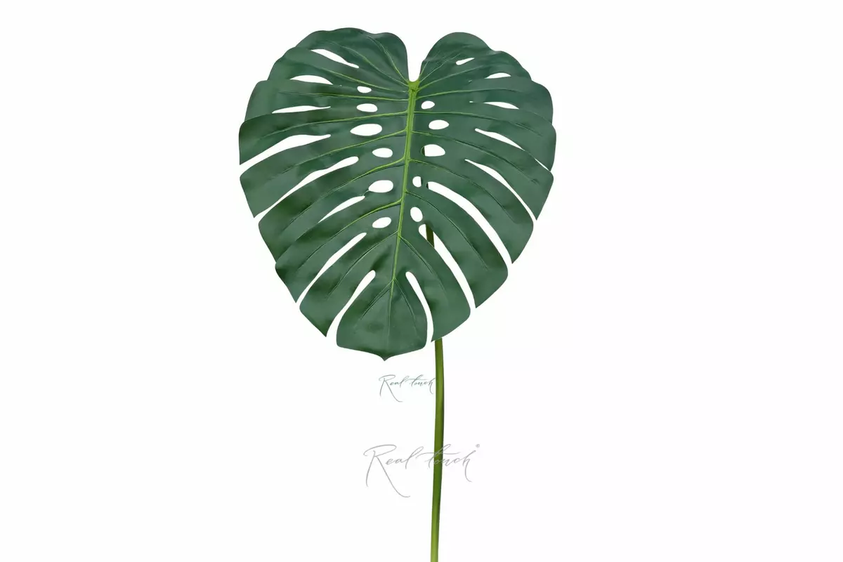 Monstera leaf 124cm - green Monstera leaf 124cm - green