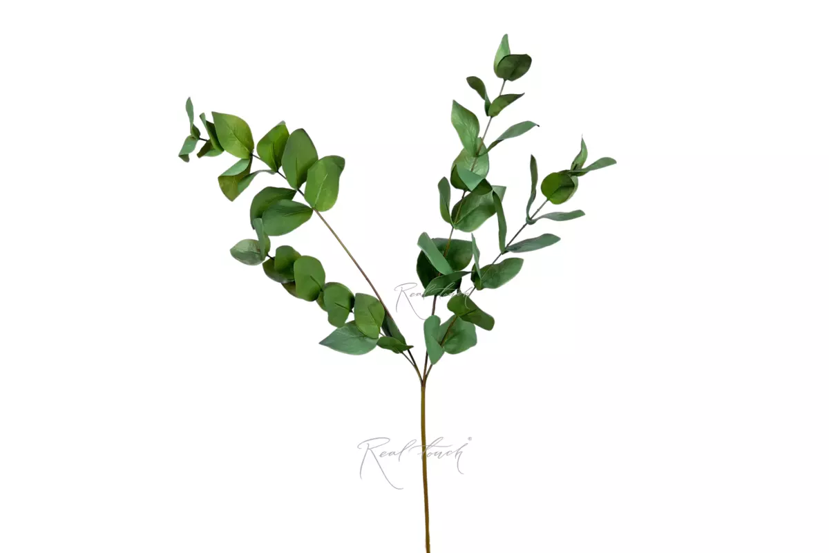 Eucalyptus branch 32" - green