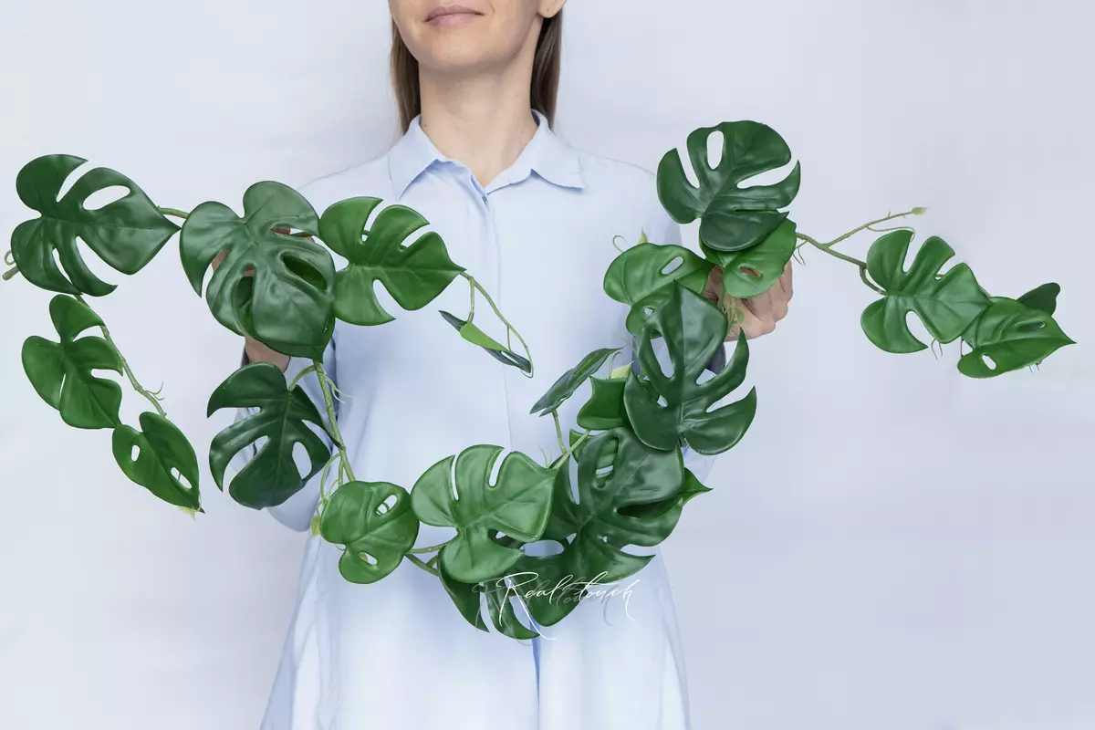 Trailing Monstera garland - green Trailing Monstera garland - green