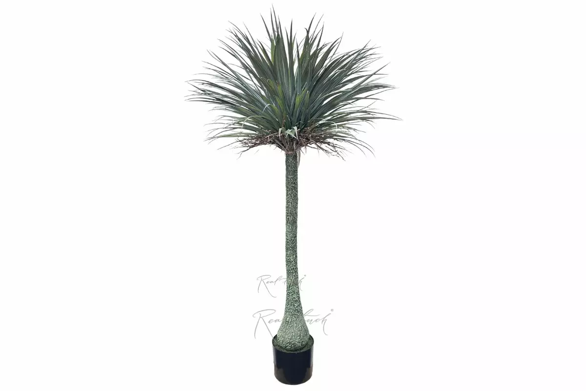 Artificial  Nolina 195cm  - green