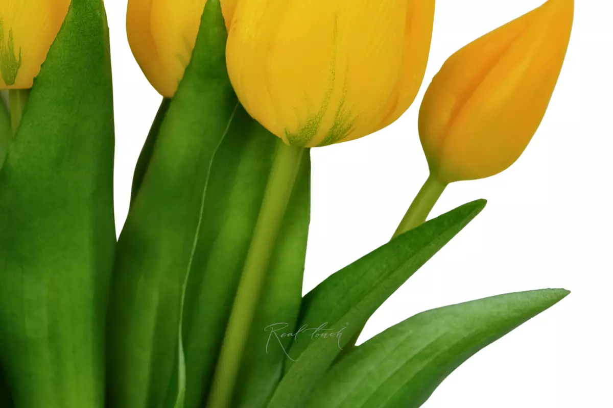 Bouquet of tulips 4+3 (30cm) - yellow