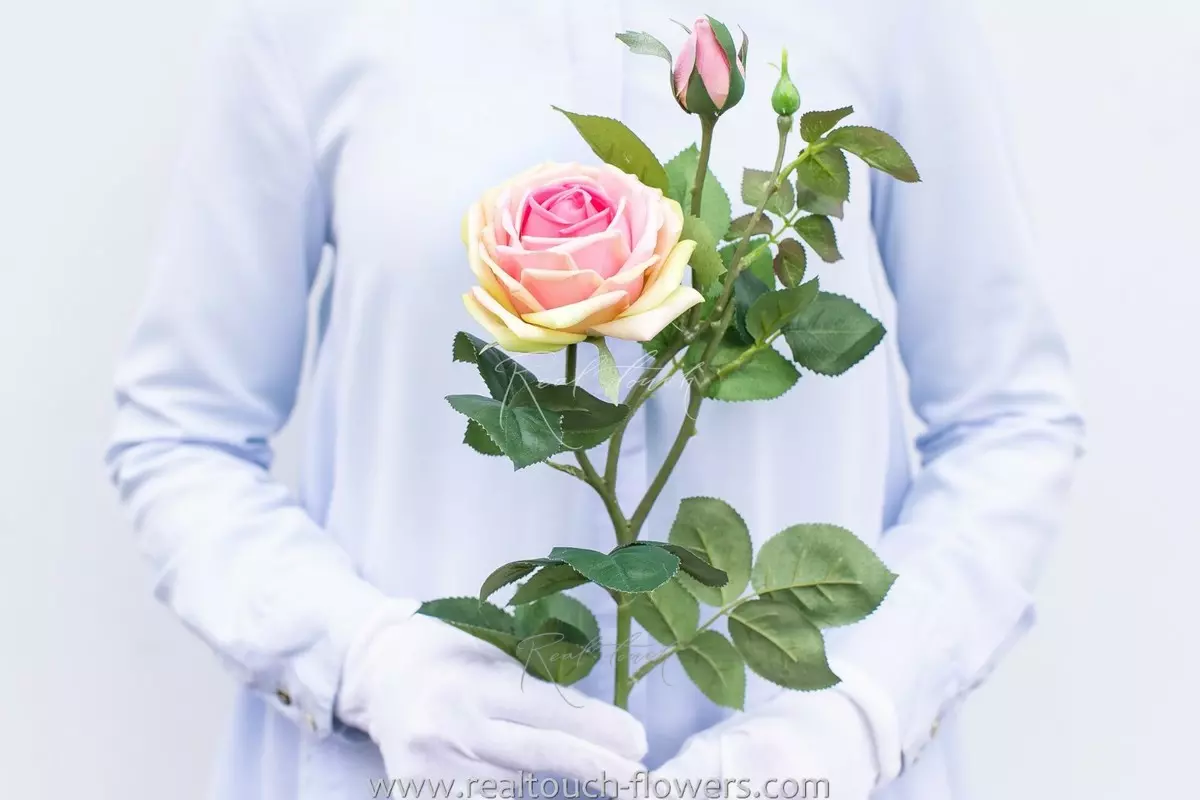 Real Touch Mamy Blue Rose - pink yellow