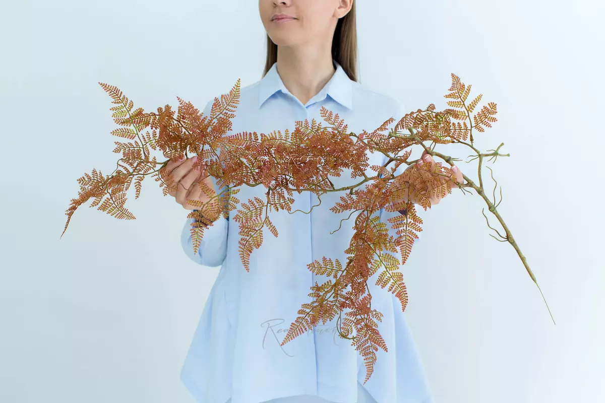 Alpine bulblet fern on a lignified stem - Autumn