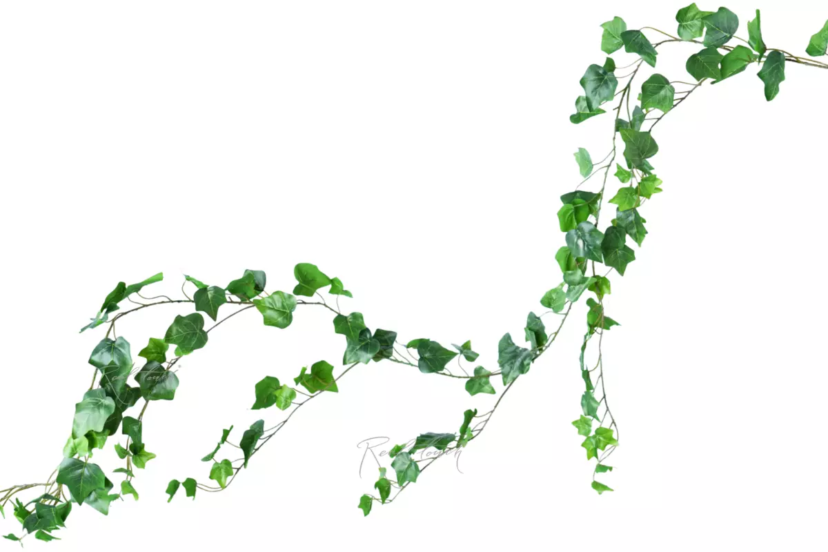 Ivy - liana 180 cm - green