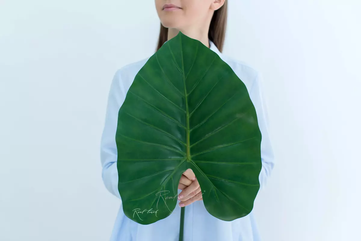 Alocasia leaf 96cm - green Alocasia leaf 96cm - green