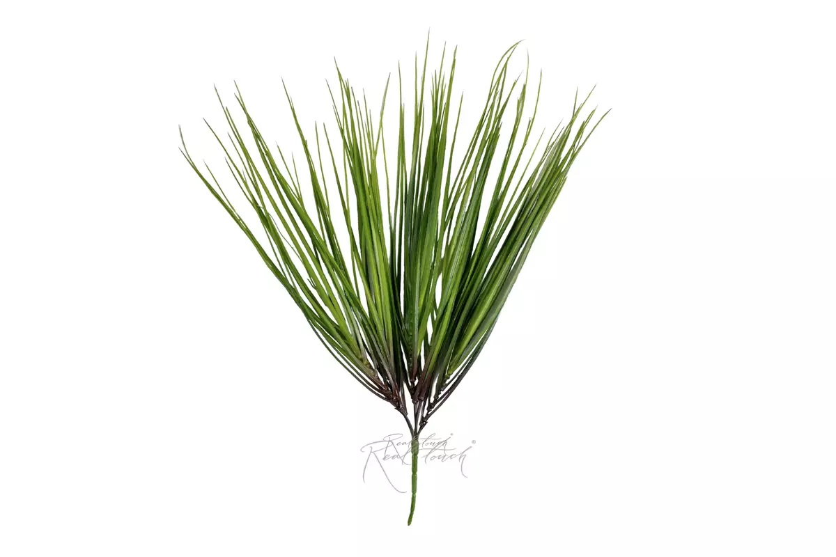 Tuft of grass large - green