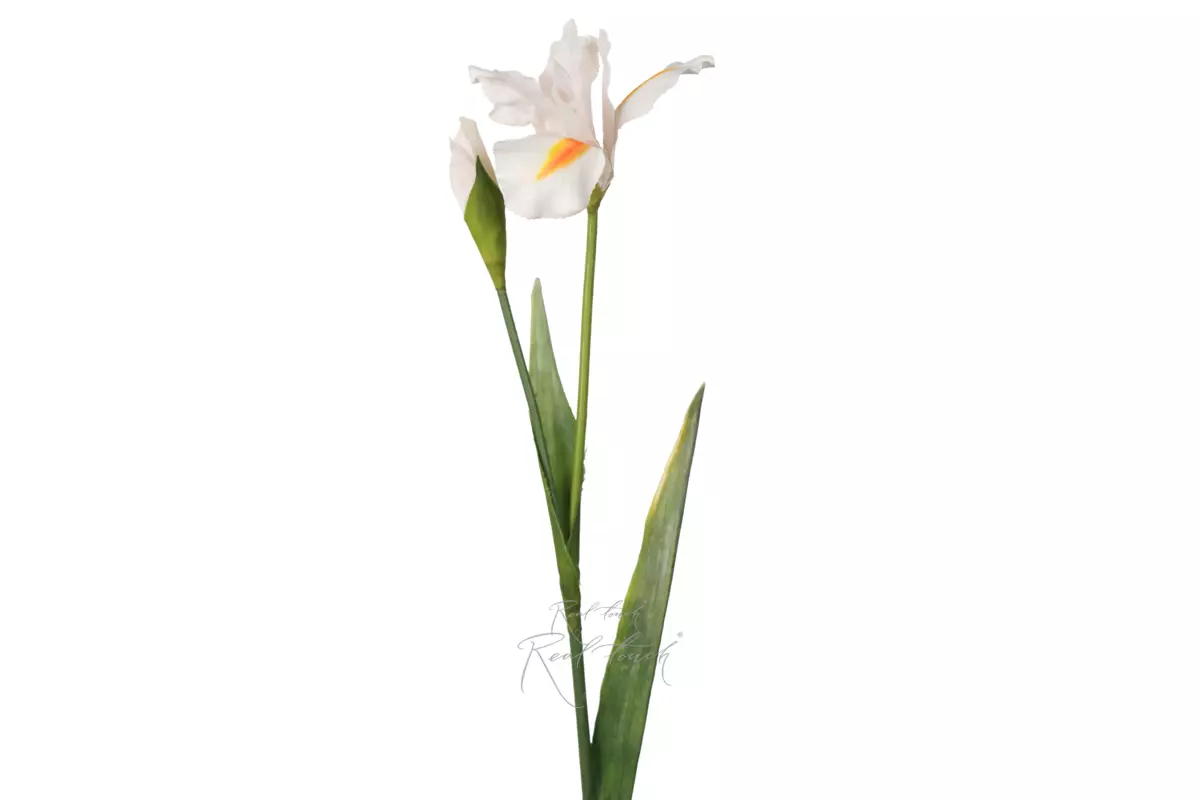 Iris 2 branches 74cm - white