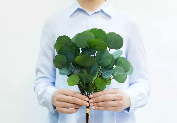 Real Touch Eucalyptus Silver Dollar (8 branches) - blue green