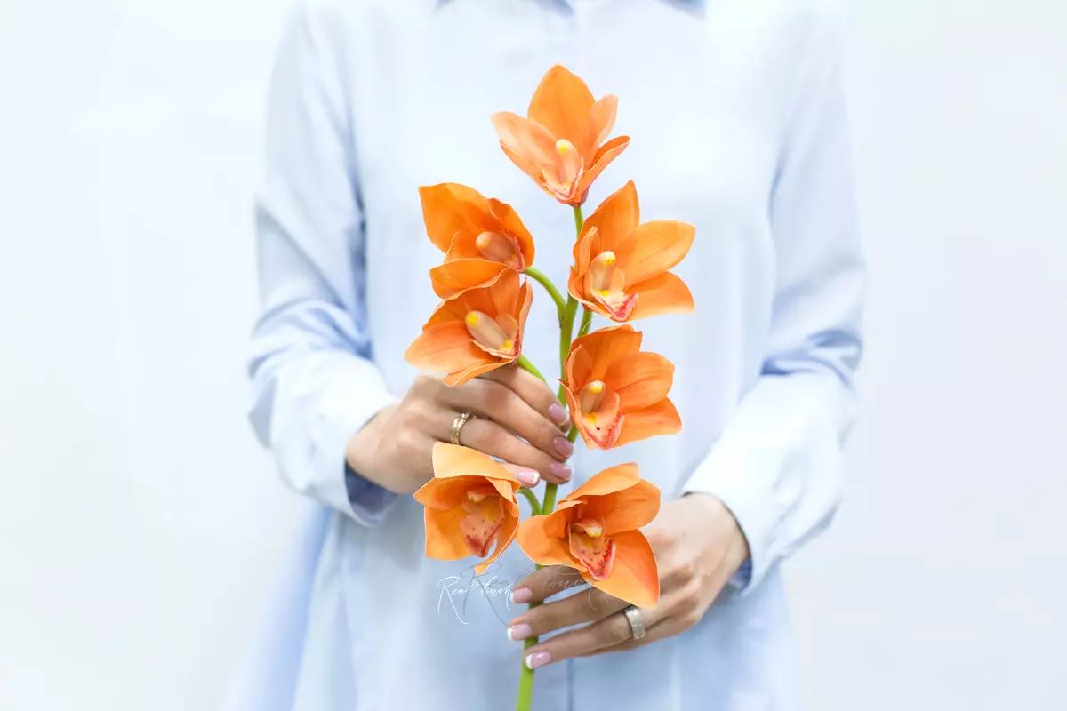 Real Touch Boat Orchid (Cymbidium)  - orange