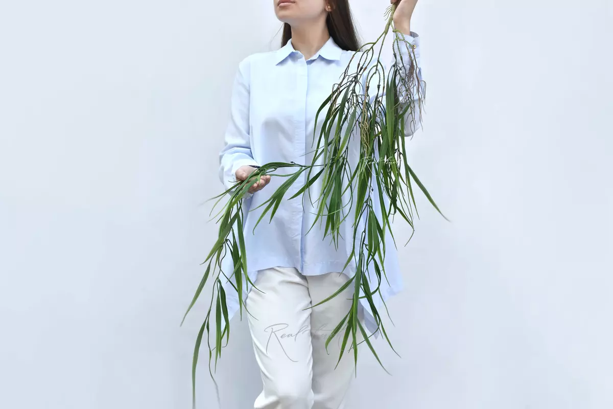 Weeping willow branch - Dark green