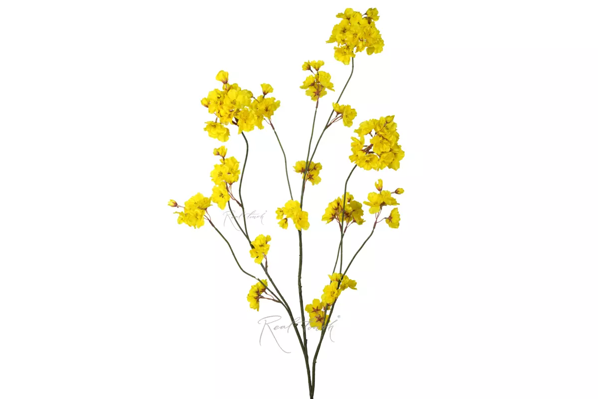 Branch with flowers - yellow