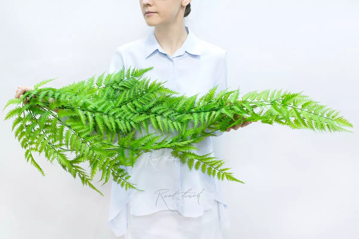 Dryopteris filix-mas extended 119cm - green Dryopteris filix-mas extended 119cm - green