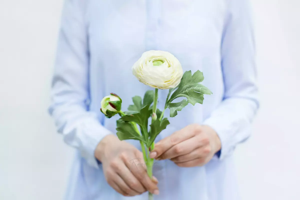 Real Touch Ranunculus Clooney - white
