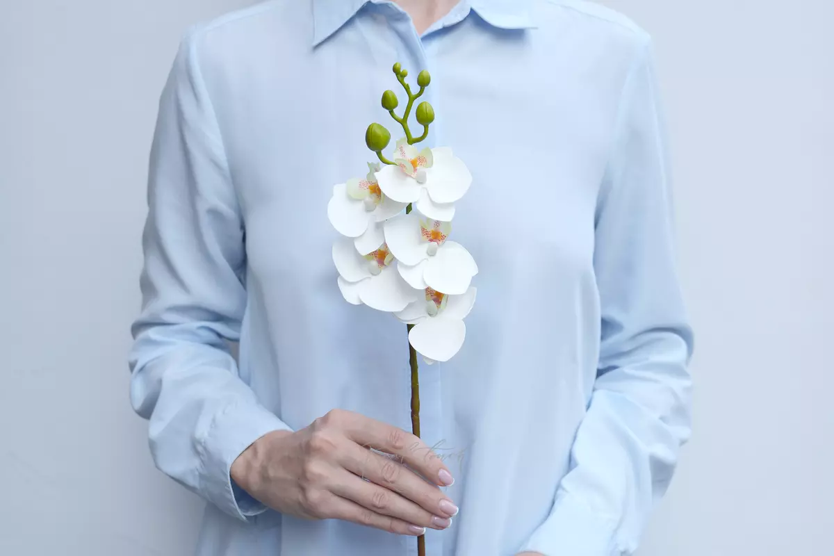 Phalaenopsis small orchid (type 1) - white